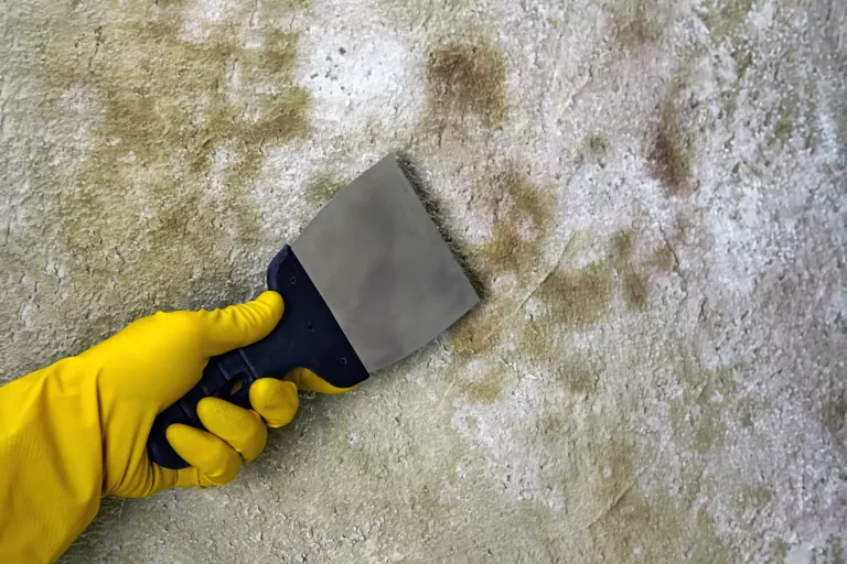 A person in rubber yellow gloves with a spatula cleans a concrete wall from mold and fungus.